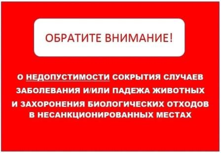 Информационное сообщение.