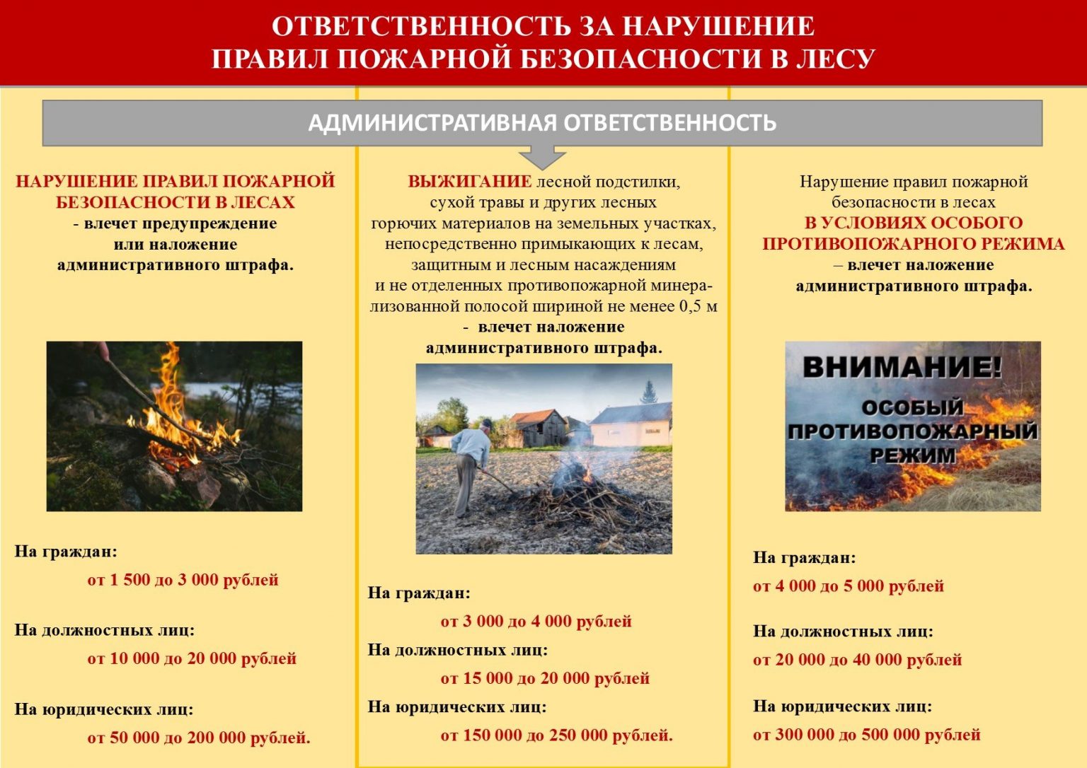 ОТВЕТСТВЕННОСТЬ ЗА НАРУШЕНИЕ ПРАВИЛ ПОЖАРНОЙ БЕЗОПАСНОСТИ В ЛЕСУ.