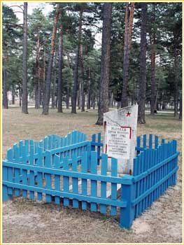 Памятник партизану С.И. Матвееву.