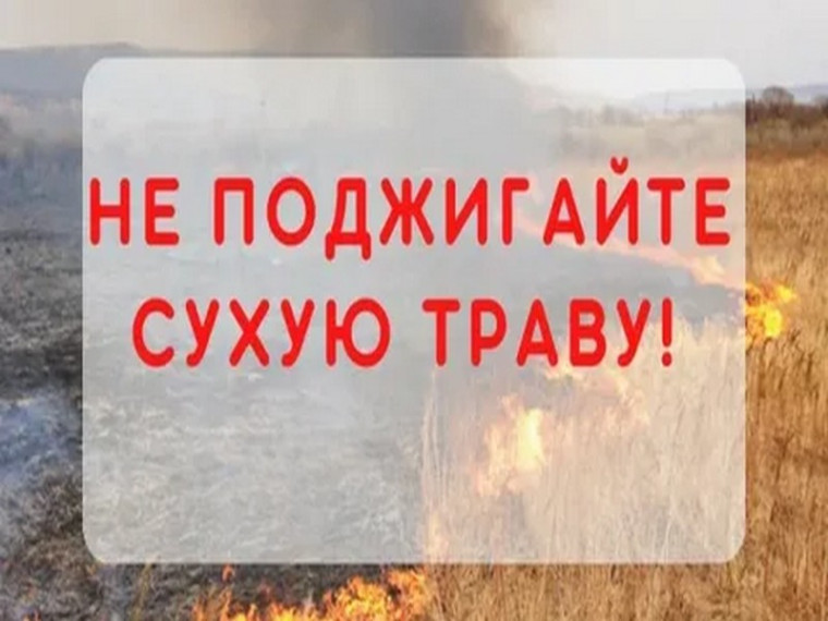 Правила поведения в пожароопасный период (пал сухой травы и отдых на природе). Правила поведения в пожароопасный период (пал сухой травы и отдых на природе).